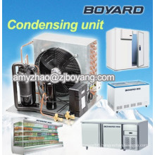 R404A Dual Glass Island freezer with boyard condensing unit